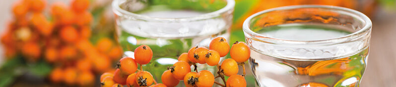 Eberesche – Die Erste Liga unter den Schnäpsen